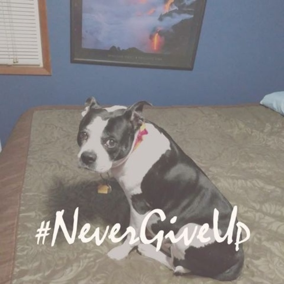 Meet your Posher, James - Picture 1 of 1